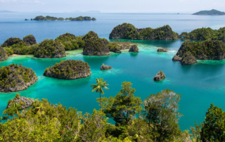 Octopolis Foundation a Raja Ampat | Agusta Eco Resort e tutela marina