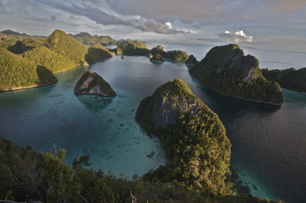 Raja_Ampat_Islands_-_journal.pbio.1001457.g001
